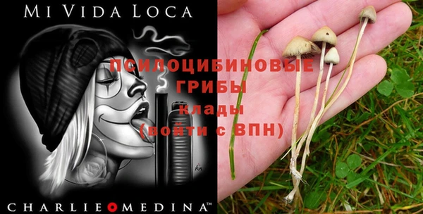 меф Абинск