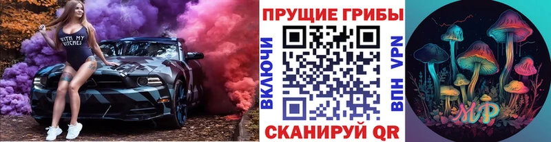 Галлюциногенные грибы Psilocybine cubensis  Шарыпово 